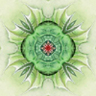 Benutzeravatar